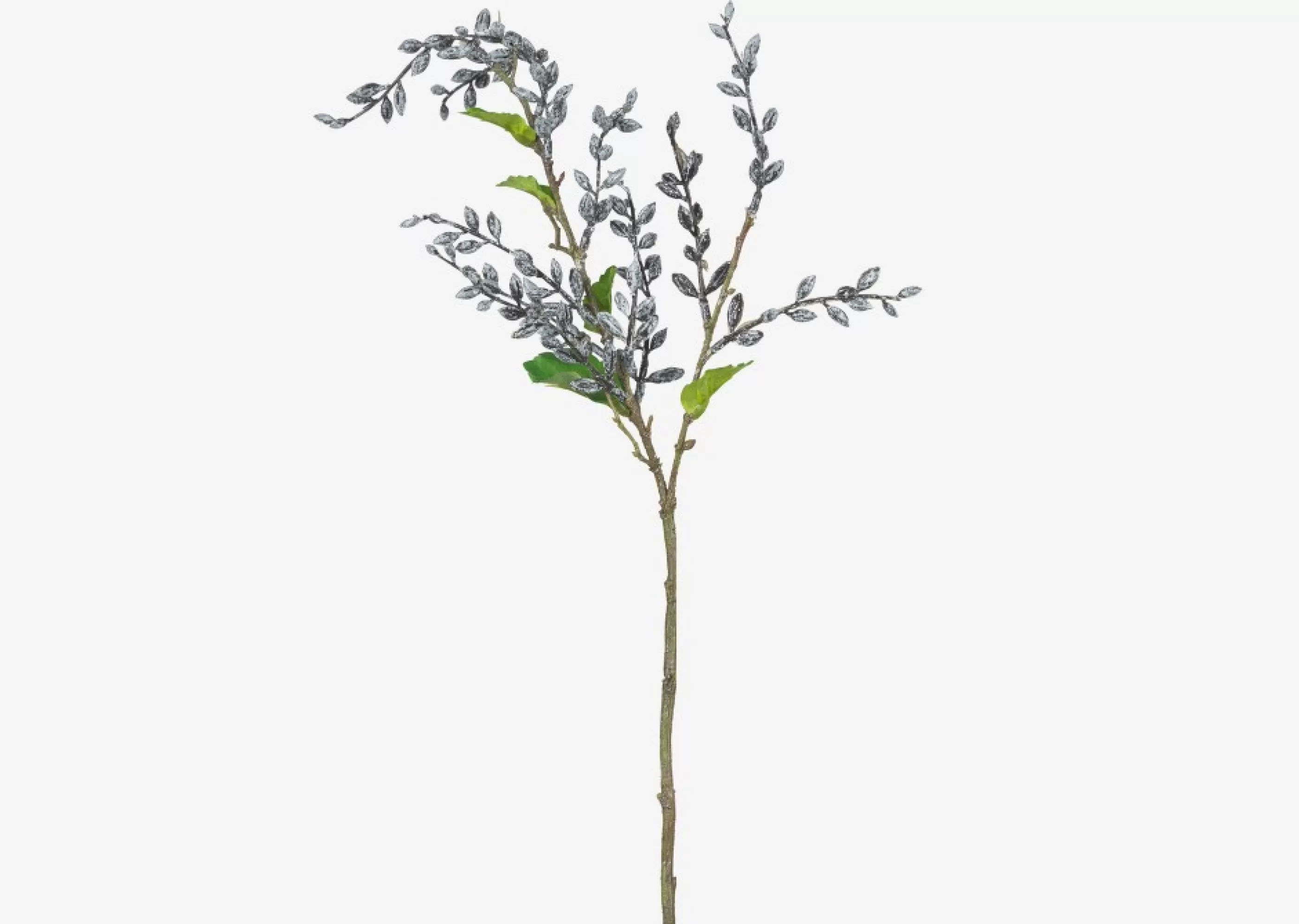 unavailable Blooms & Branches*Adaya Berry Branch