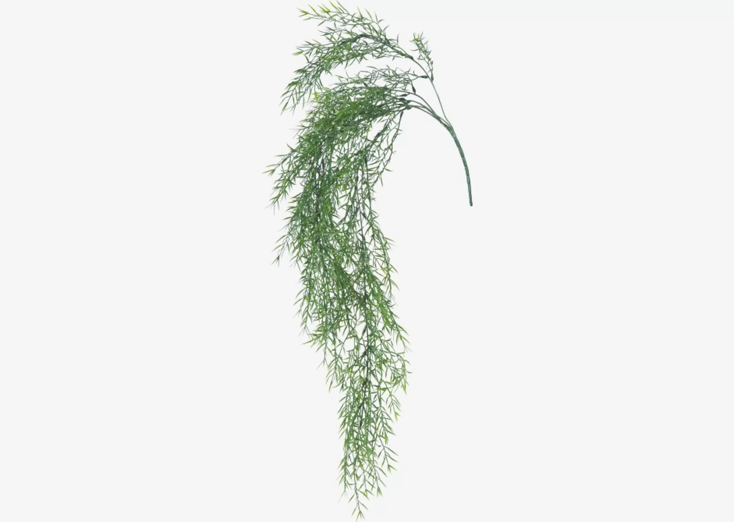 unavailable Blooms & Branches*Bray Snapdragon Branch