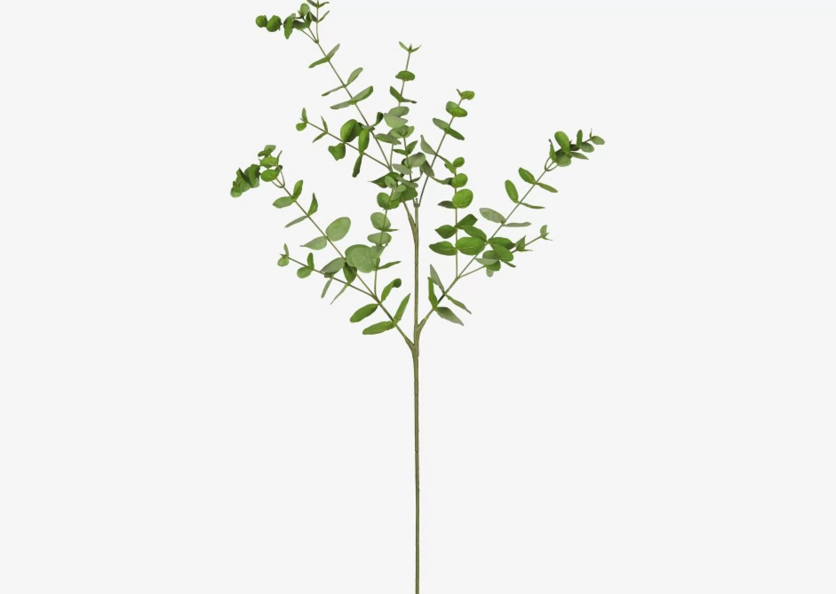 unavailable Blooms & Branches*Cale Mini Eucalyptus Spray