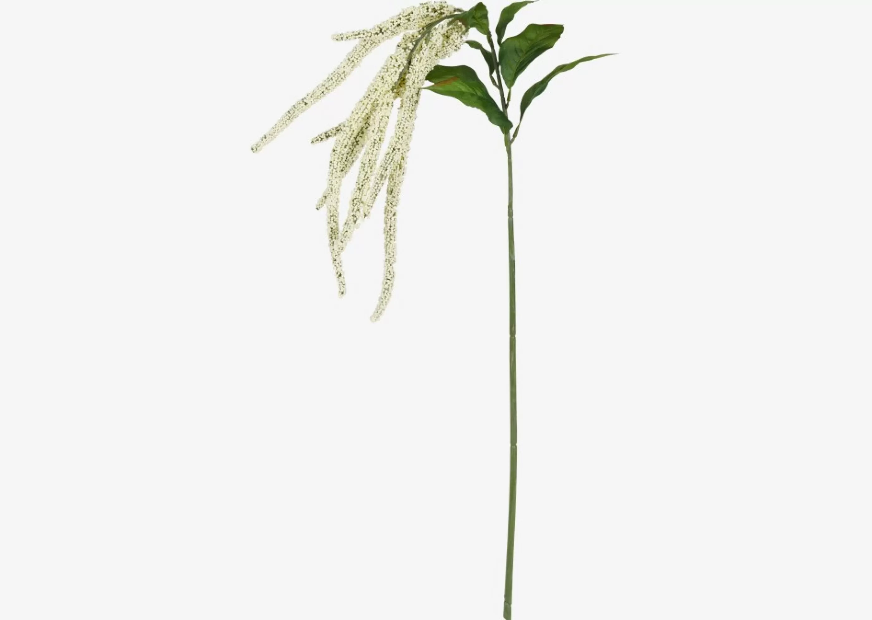 unavailable Blooms & Branches*Glora Amaranthus Branch