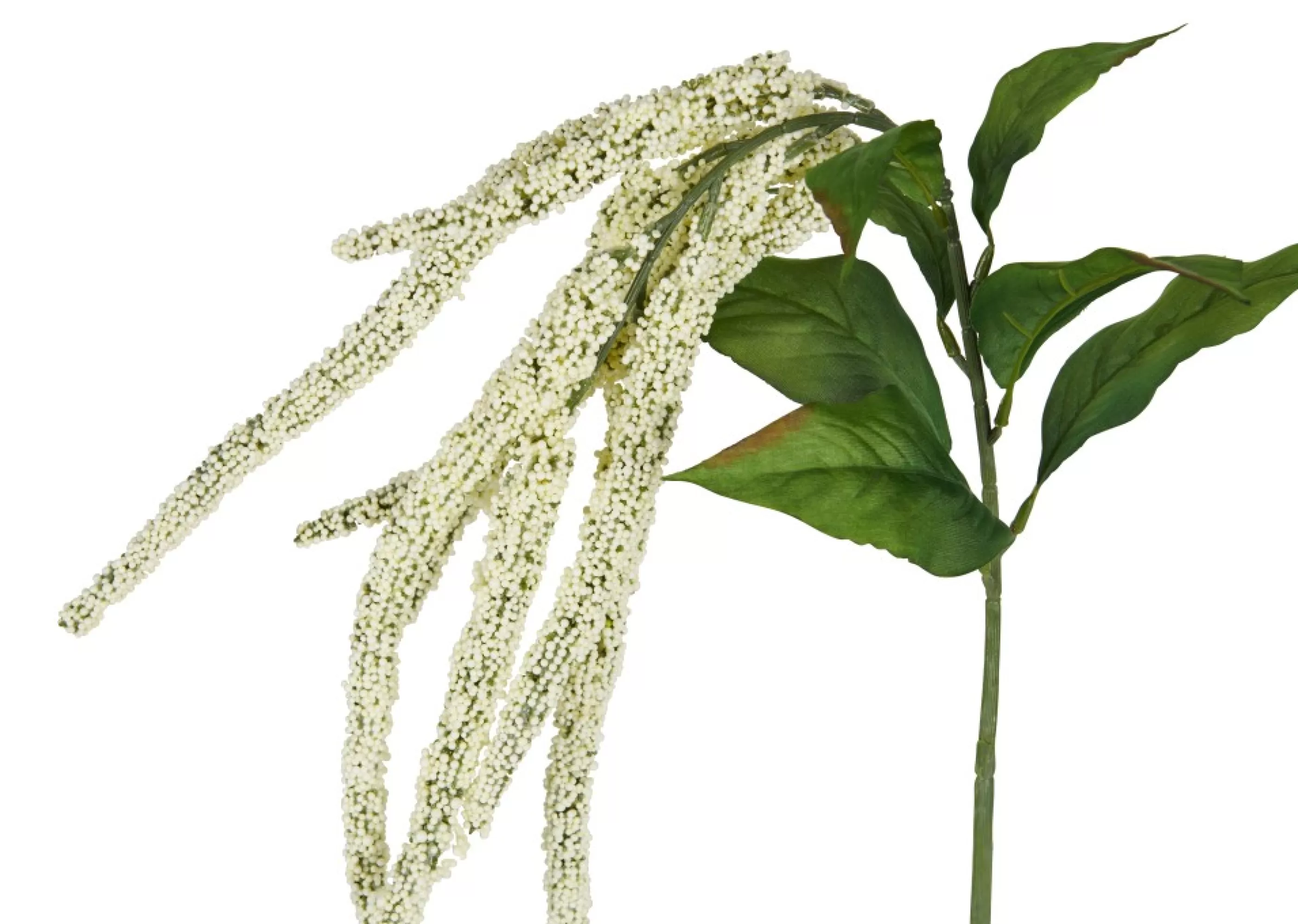 unavailable Blooms & Branches*Glora Amaranthus Branch