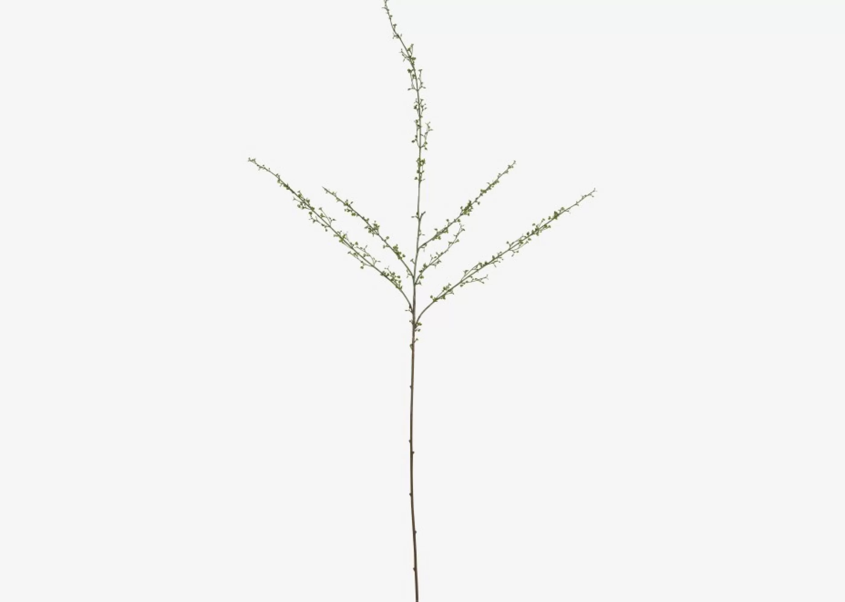 unavailable Blooms & Branches*Hopper Mini Spring Branch