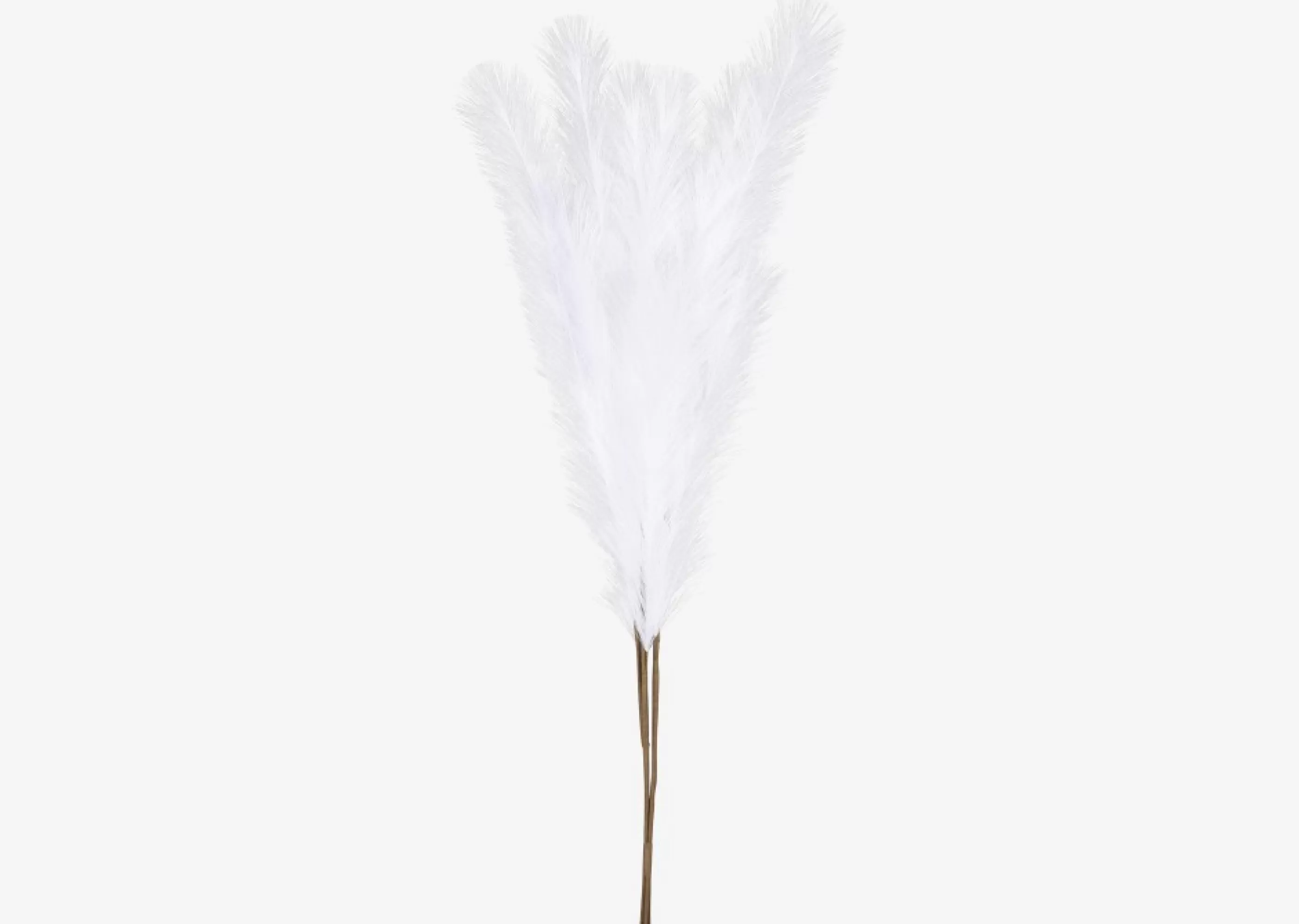 unavailable Blooms & Branches*Marianna Pampas Bunch