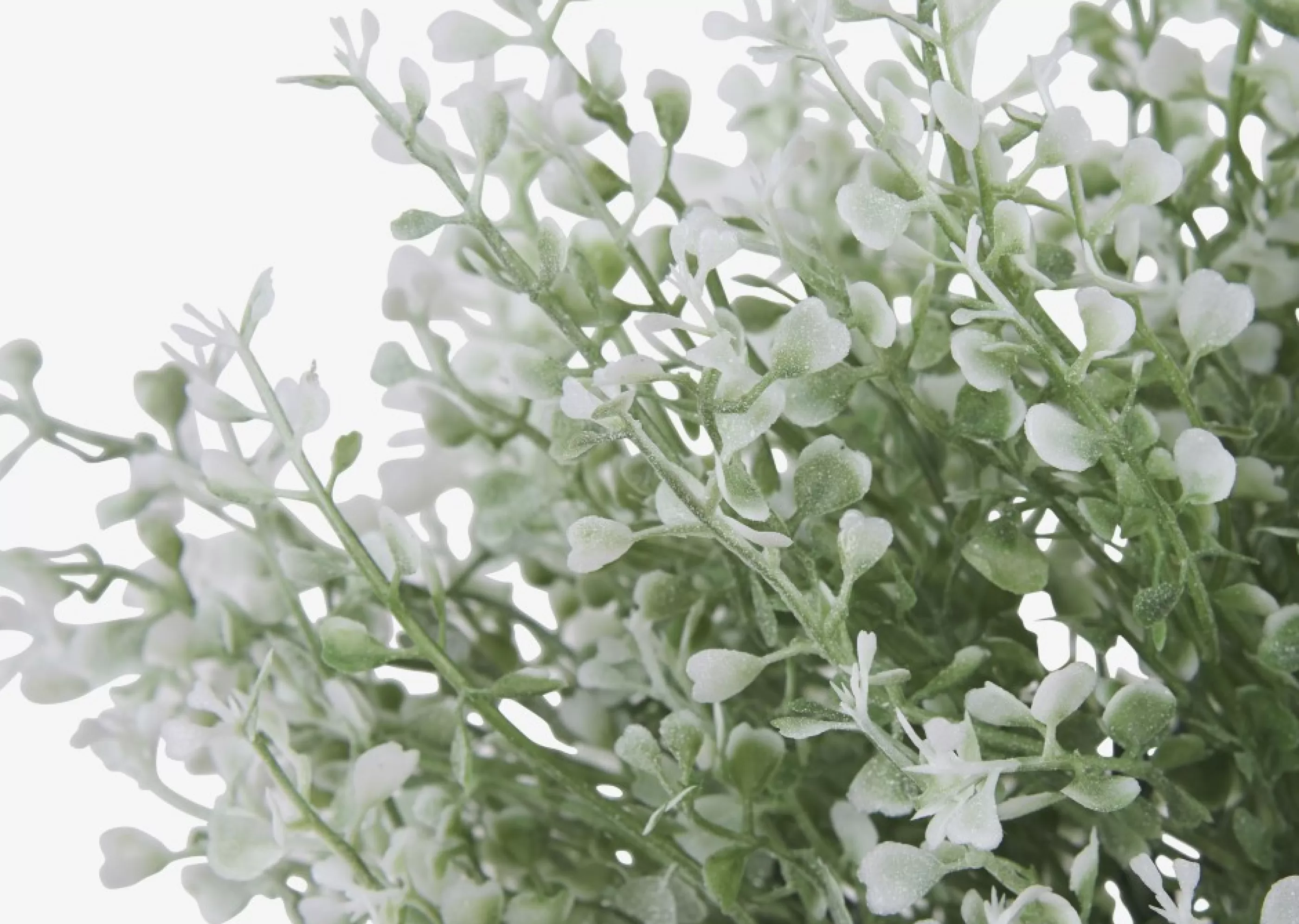 unavailable Blooms & Branches*Mikayla Boxwood Stem