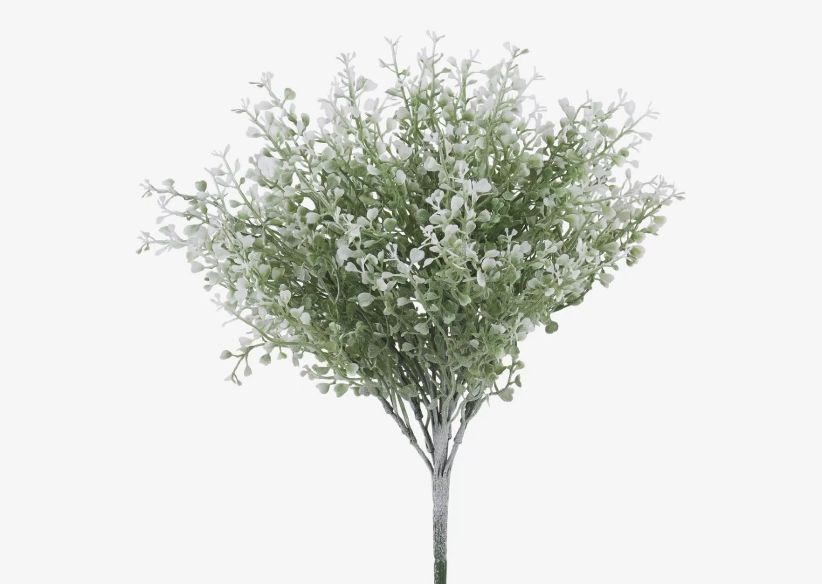 unavailable Blooms & Branches*Mikayla Boxwood Stem