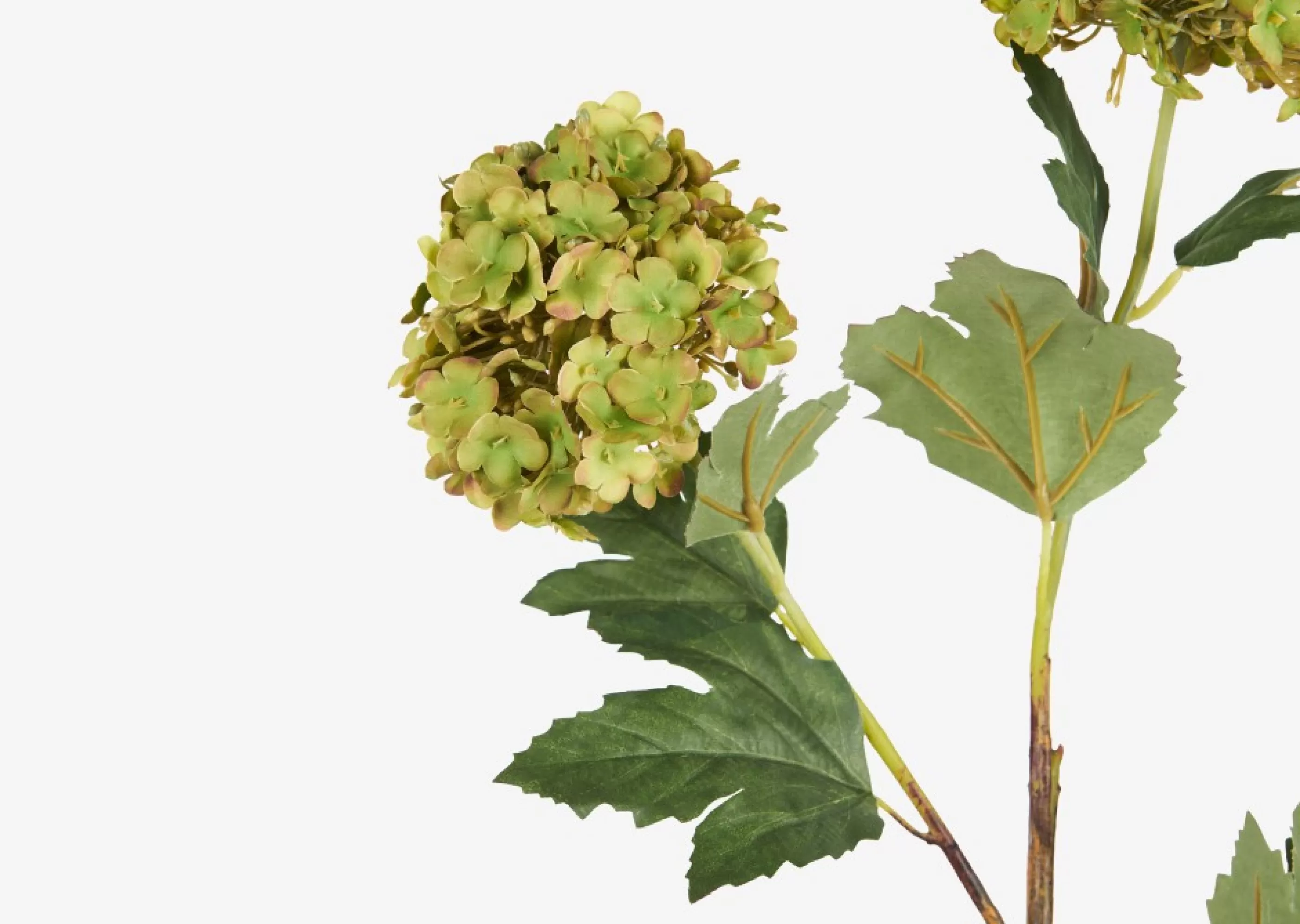 unavailable Blooms & Branches*Raylee Snowball Branch Fern