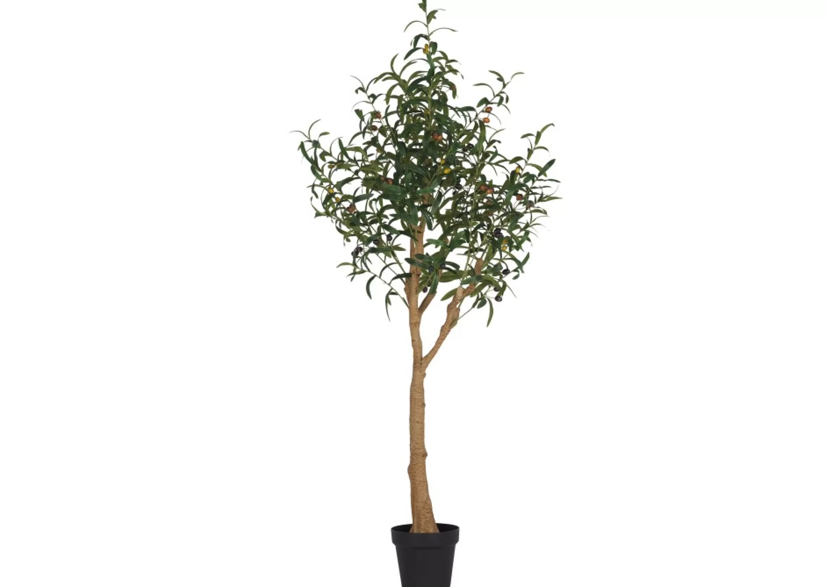 unavailable Blooms & Branches*Tristin Olive Tree Potted Large